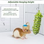 2Pcs Rat Enrichment Toys Stainless Steel Bird Food Holder Rat Parrot Foraging Toy Hanging Rodent Toy Fruit Vegetable Holder Puzzle Toy Slow Feeder Parakeet Foraging Mice Cage Accessories - Image 5