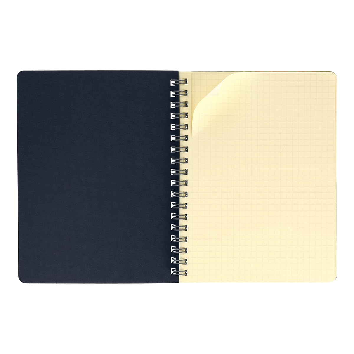 Amazon.co.jp: [デルフォニックス] ロルバーン ポケット付メモL