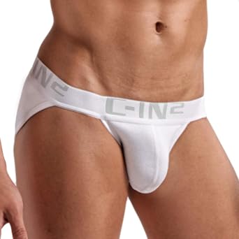 C-IN2 See-In-Two Sports Briefs BASIC CORE DASH BRIEF Bikini Low Rise Mens Mens Underwear