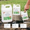 Wondercide - Flea and Tick Spray Concentrate for Yard and Garden with Natural Essential Oils Kill, Control, Prevent, Fleas, Ticks, Mosquitoes and Insects - Safe Around Pets, Plants, Kids - 16 oz