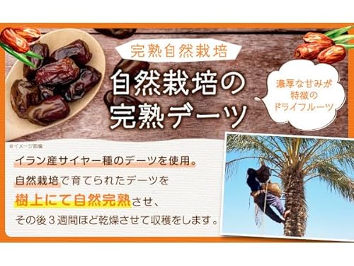 NICHIGA(ニチガ) 完熟 ドライ デーツ 種なし 1.2kg サイヤーデーツ TK0 の商品画像 5