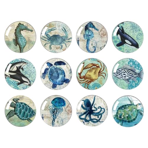 Imanes Decorativos Redondos para Refrigerador 12 Piezas