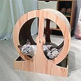Doppelt als Katzenkratzer: Der dient nicht nur als Laufrad, sondern auch als Katzenkratzer mit Sisalteppich innen und außen. Dieses Futter bietet nicht nur sicheren Halt beim Laufen, sondern eignet sich auch zum Kratzen.
