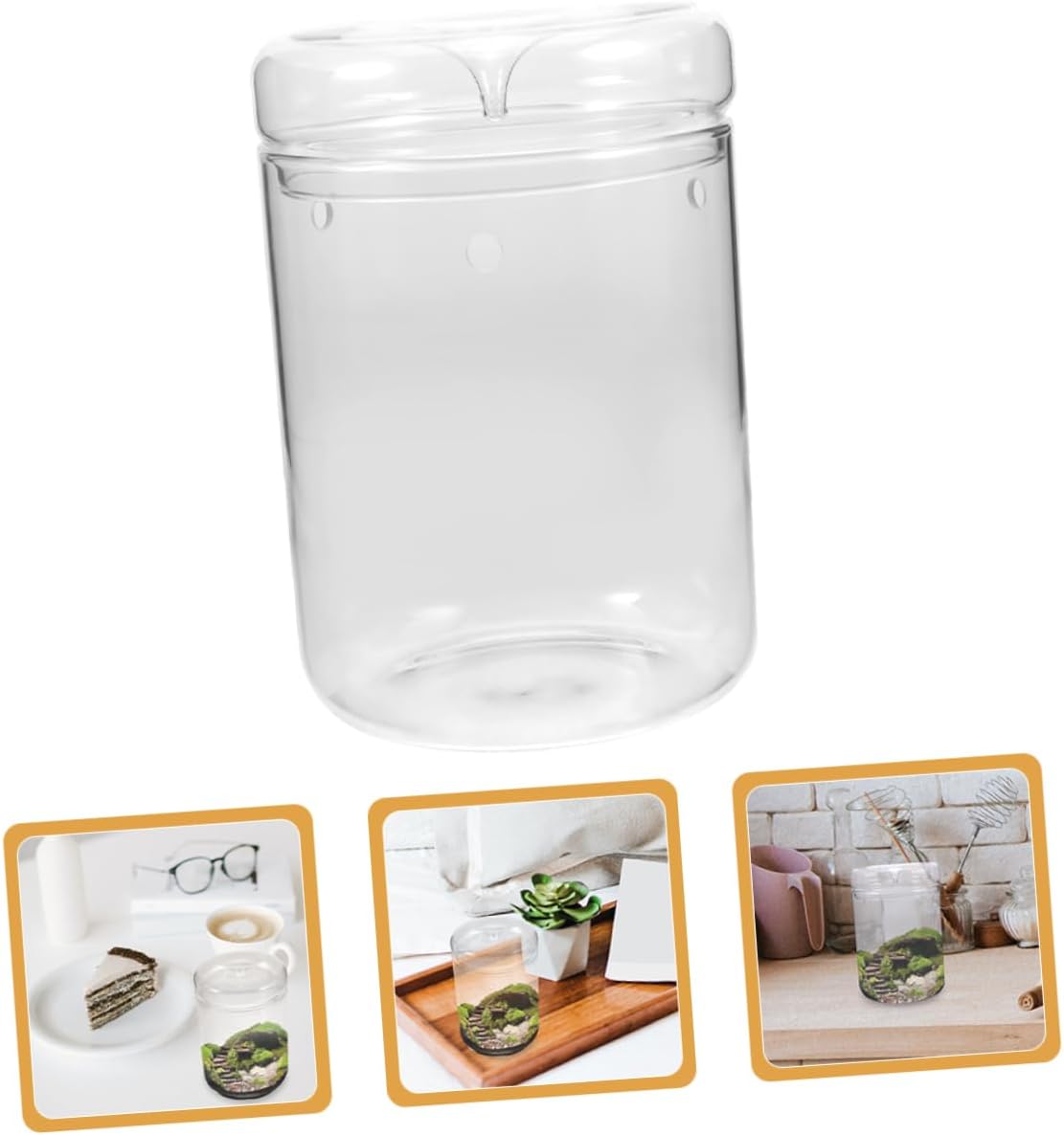 VANZACK Plant Terrarium Glass Vase DIY Hydroponic Planter for Succulent and Moss Decorative Desktop Landscape Bottle for Home and Office Design