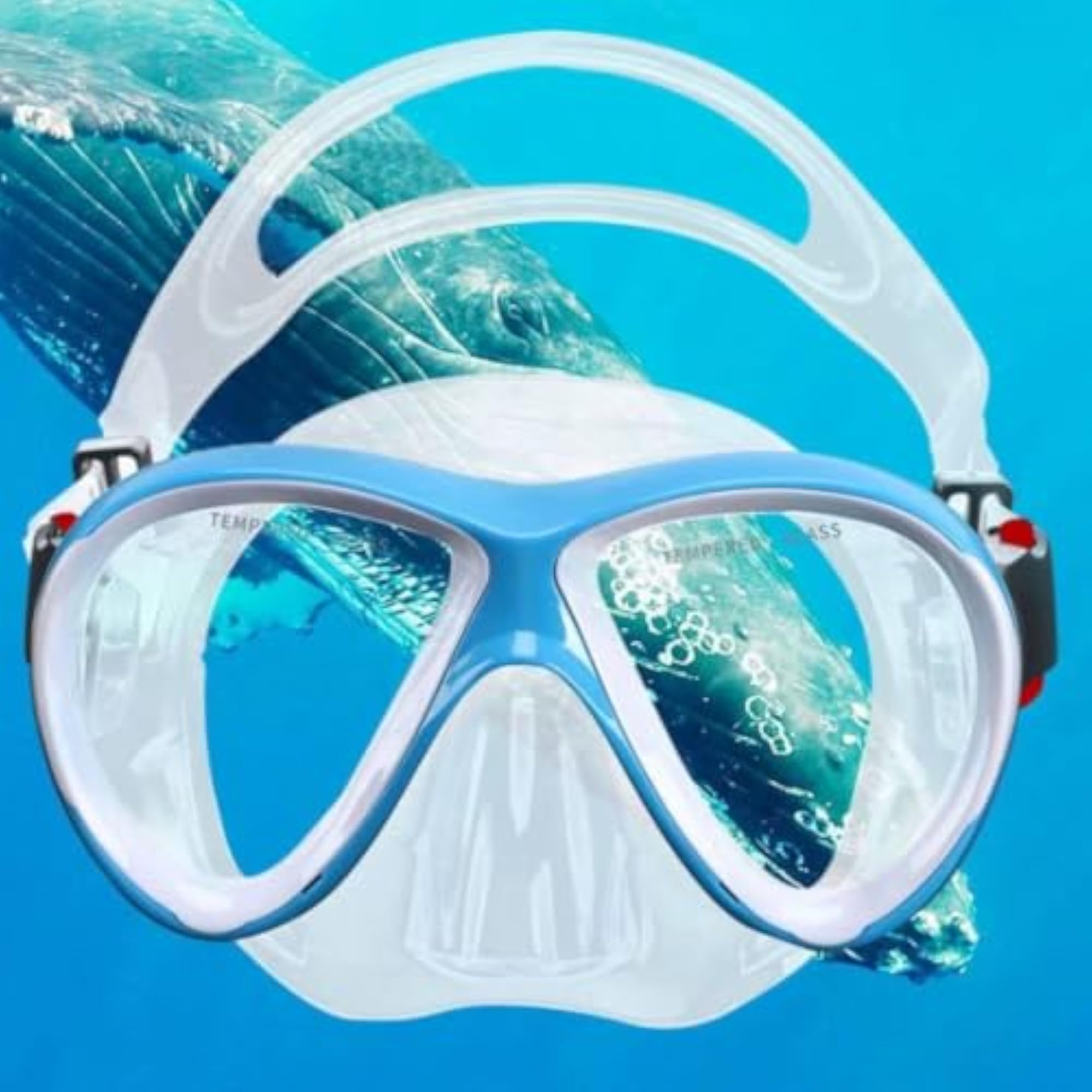 Clear-Lens Diving Mask with Snorkel, Adjustable Fit