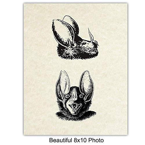Yellowbird Art & Design Gothic Bats Wall Decor Pictures thumb #3