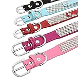 Senristar Personalisierte Bling Strass Hundehalsband mit Namen, Benutzerdefinierte Glitter Crystal Diamond Hundehalsband für Kleine Mittlere Große Hunde