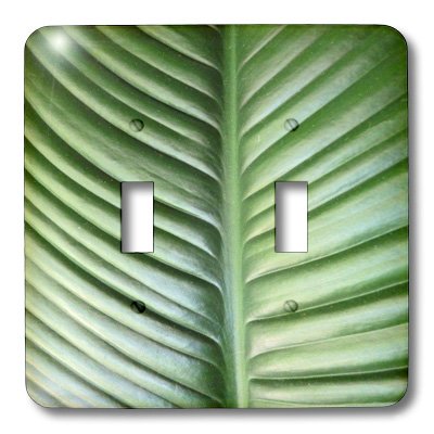 Palm Frond cache-interrupteur déco végétale salon motif 3dRose lsp_193143_2