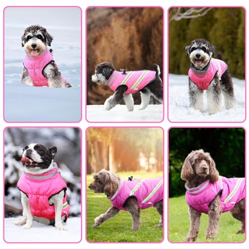 Lairle Hundemantel wasserdichte Hundemäntel Winter Hundejacke Weste Kleidung Reflektierende verstellbare Hundemantel mit eingebautem Geschirr für kleine mittlere große Hunde