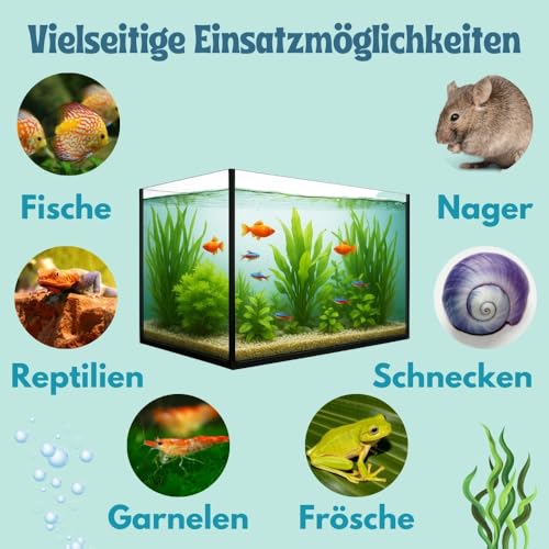 Aquarium Becken Rechteckig Glas Aquariumbecken Salzwasseraquarium Glasbecken Glasaquarium 112 L Aufzuchtbecken 80x35x40 cm 80