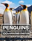 Penguin Photography - A Penguins Picture Book - Amazing Big Collection: 100+ Amazing Pictures of in this Beautiful Penguins Photo book