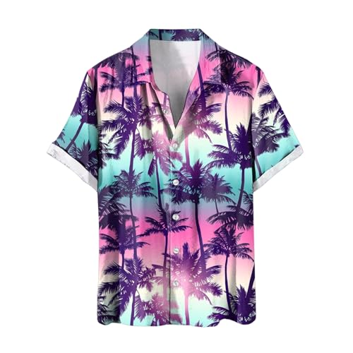 Tshirt homme lot de chemises habillées et haut manche courte sport