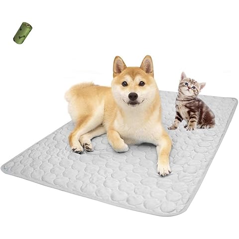 Summer Cooling Mat & Sleeping Pad- Water Absorption Top, Materials Safe, Easy Carry, EZ Clean. Keep Cooling for Pets, Kids and Adults.(Grey, 28" x 22") Gray Cover