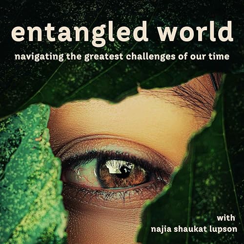 The Beauty of Multisolving | Elizabeth Sawin