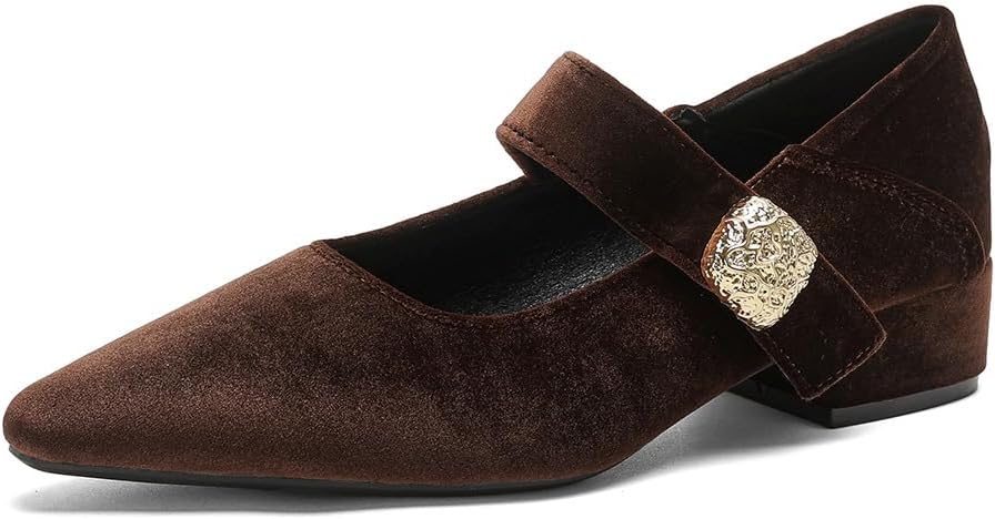 Women's Suede Mary Jane Pumps Fashion Pointed Toe Buckle Chunky Block Heel Dress Shoes for Office and Casual Wear