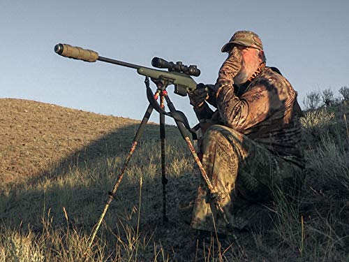 Success with the New FOXPRO Sounds