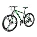 EUROBIKE SD X9 29Inch Adult Mountain Bike Aluminum Frame Bicycle Disc Brake 21 Speed Front Suspension Alloy MTB Bikes Men Bicycle (X9 mag Green)
