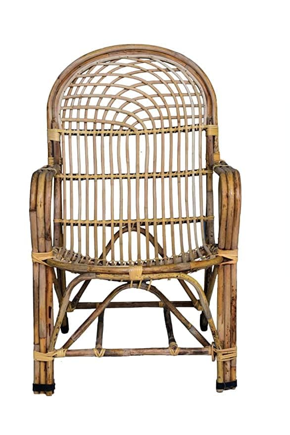 Avika Cane Rattan Easy Chair with Cushion : Amazon.in: Home & Kitchen