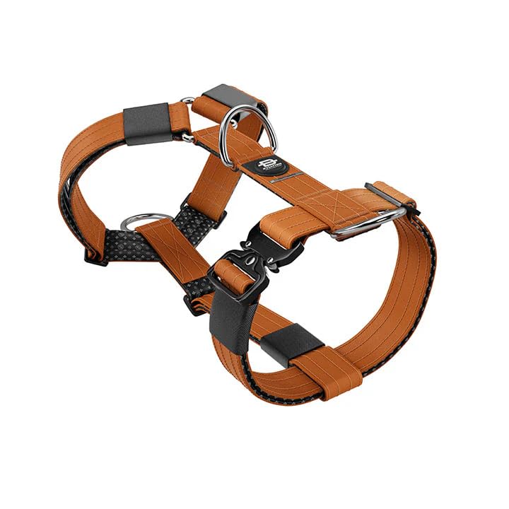 Bullyion Original Equipment Trinity Geschirr für stark ziehende Hunde mit Softcell-Polsterung, Lockforce-Schnallen, 3 Leinen-Befestigungspunkte, Hundetrainer Wahl, für alle Rassen, Orange Marmelade