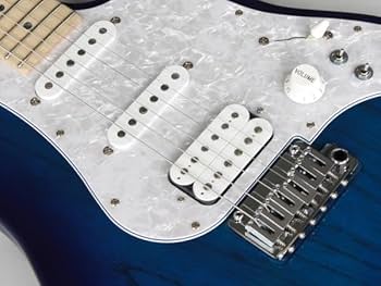 ギター FGN EOS-ASH-M FUJIGEN Expert ODYSSEY EOS-ASH-M-SP1 - Frozen Red | Blue