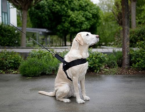 Kerbl Pet Miami Plus Geschirr 60-75cm Halsriemen: 40cm/40mm, schwarz