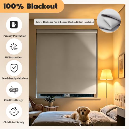 Image of Niche Blinds Cordless Blackout Roller Shades with Valance,White,21 inch Wx72 H