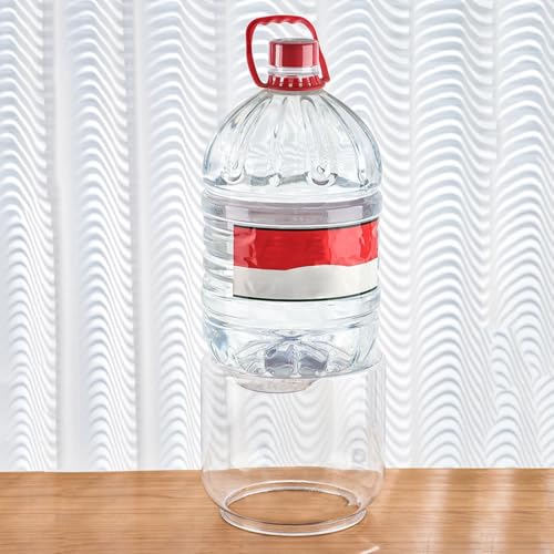 Réservoir de tortue d'eau transparent avec couvercle sécurisé