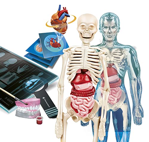 Clementoni - 19299 - Scienza E Gioco Lab - Anatomia Super - Laboratorio Di Anatomia, Gioco Scientifico Per Bambini Dagli 8 Anni (Gioco In Italiano), Made In Italy - 2