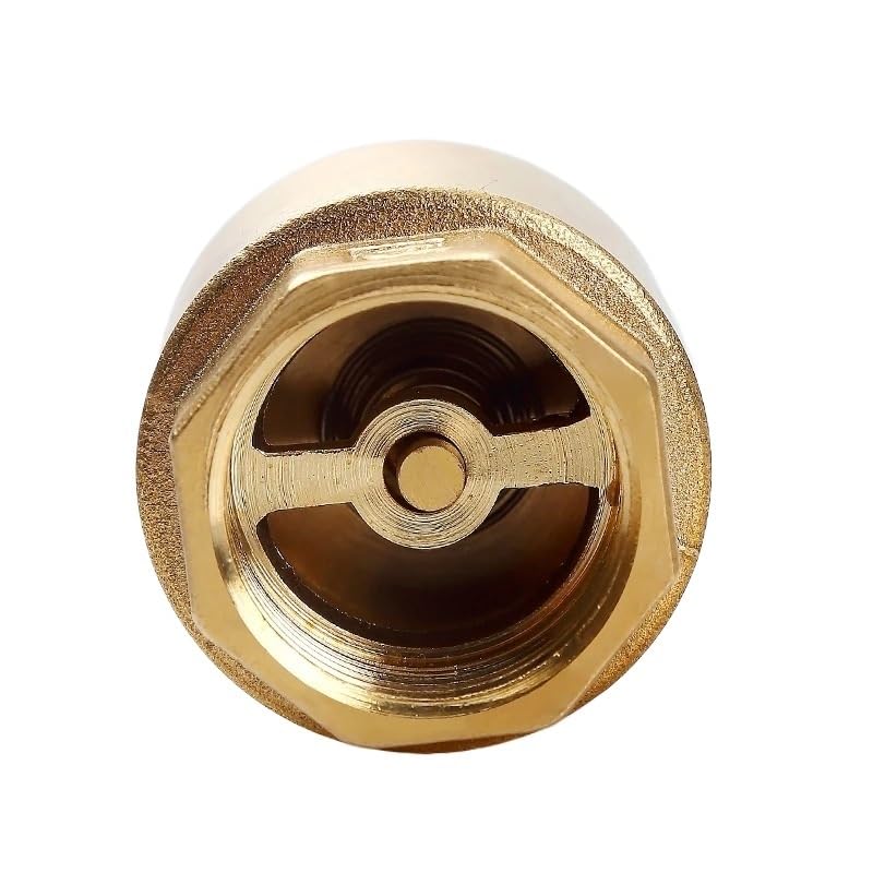 Valvola di ritegno a Molla in Linea con Filettatura in Ottone NPT da 1/2" 20/25 mm(1-1/2")