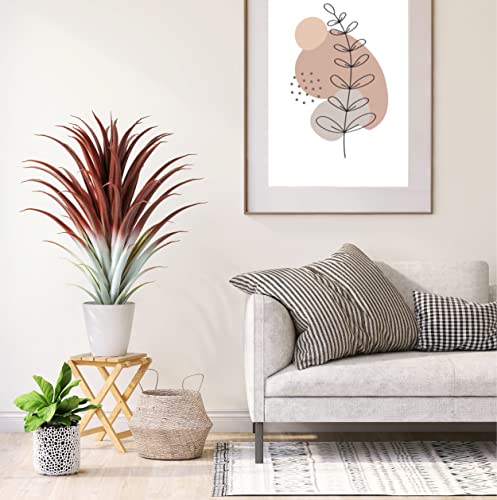 Sunprairie Hyper Realistic Big Red Artificial Aloe Vera Plant 26 Inches Tall. Large Faux Agave In Matte Black Pot. #TOP6