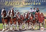 pferdekutschenfahrt Autor(in): Peter Roder Pferdekutschen - Vorgänger des Automobils (Tischkalender 2021 DIN A5 quer)