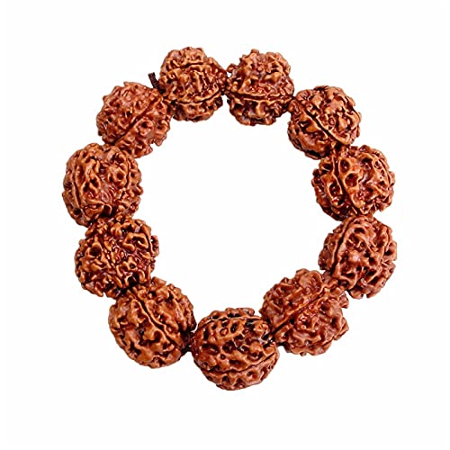 Rudraksha Bodhi perles 20mm bracelet amulette de protection bouddhiste tibétain