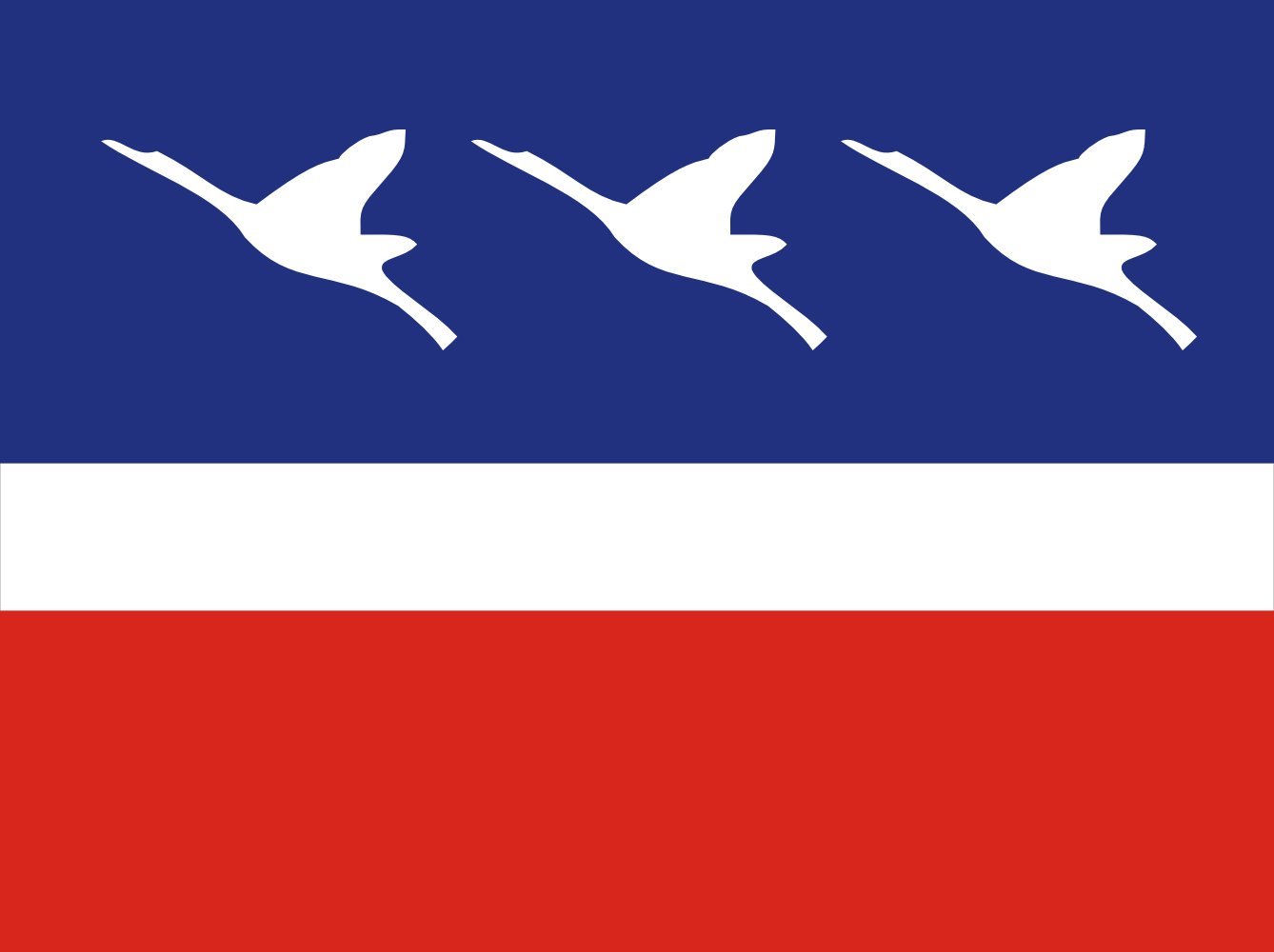 Drapeau XL Guaratingueta Sao Paulo resistant au vent et aux UV