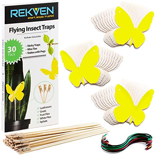 REKVEN - Petits Piège à Insectes Autocollants, Paquet de 30, pour Mouches à Fruits, Moucheron Fongique et Autres Insectes Volants