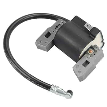 ころん 51XGQwUbT6L._UF350,350_QL50_.jpg