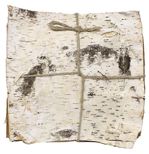 Natural Birch Bark. Bundle of 6 (12'' Square)