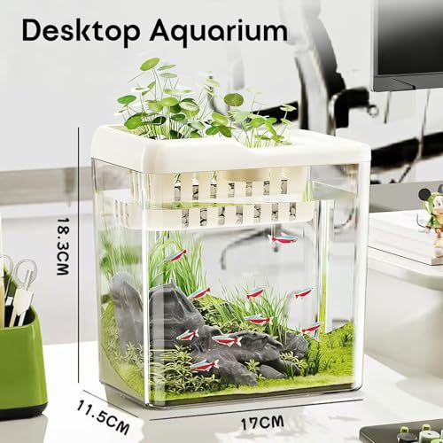 Fish Tank, 0.85 Gallon Easy to Maintain Small Aquarium for Betta,Snails, Shrimp and Aquatic Planting. by minilake - Image 2