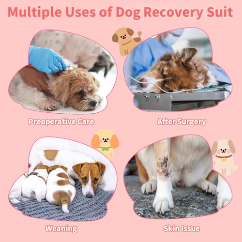 Image of Coppthinktu Recovery Suit for Dogs Dog Surgery Suit, Long Sleeve Dog Onesie After Spay Neuter for Female Dogs, Dog Surgical Recovery Body Suits to Prevent Licking Shedding Cone Alternative