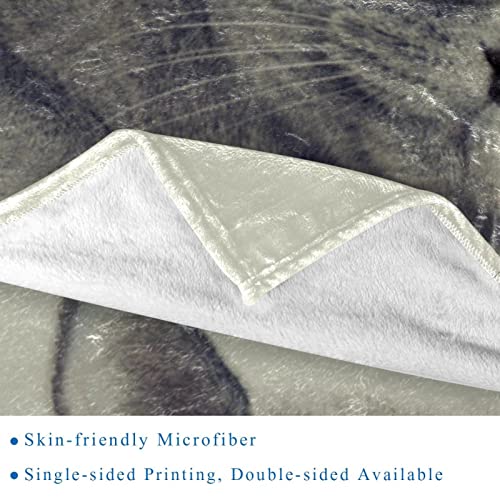Couverture de sieste en peluche chat gris ultra moelleuse
