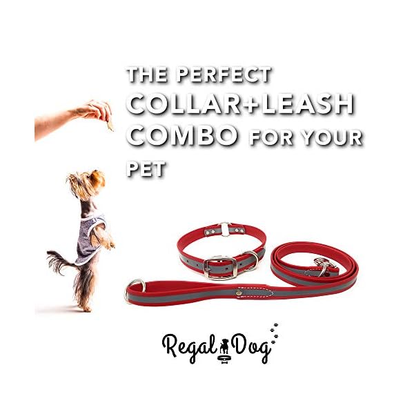Regal Dog Products Large Red Reflective Dog Collar and Leash Set – Waterproof Biothane Dog Collar with Heavy Duty D Ring, Center Ring & 5’ft Leash for Training – Other Sizes for Small & Medium Dogs Regal Dog Products Large Red Reflective Dog Collar and Leash Set β Waterproof Biothane Dog Collar with Heavy Duty D Ring, Center Ring & 5βft Leash for Training β Other Sizes for Small & Medium Dogs