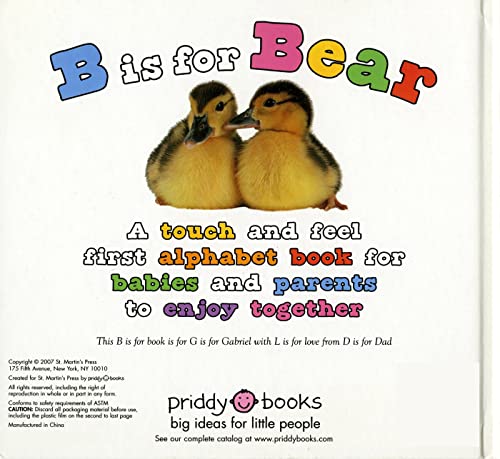 ABC Touch & Feel: B is for Bear: A Very First Book for the Baby You Love (ABC Books) - Image 2
