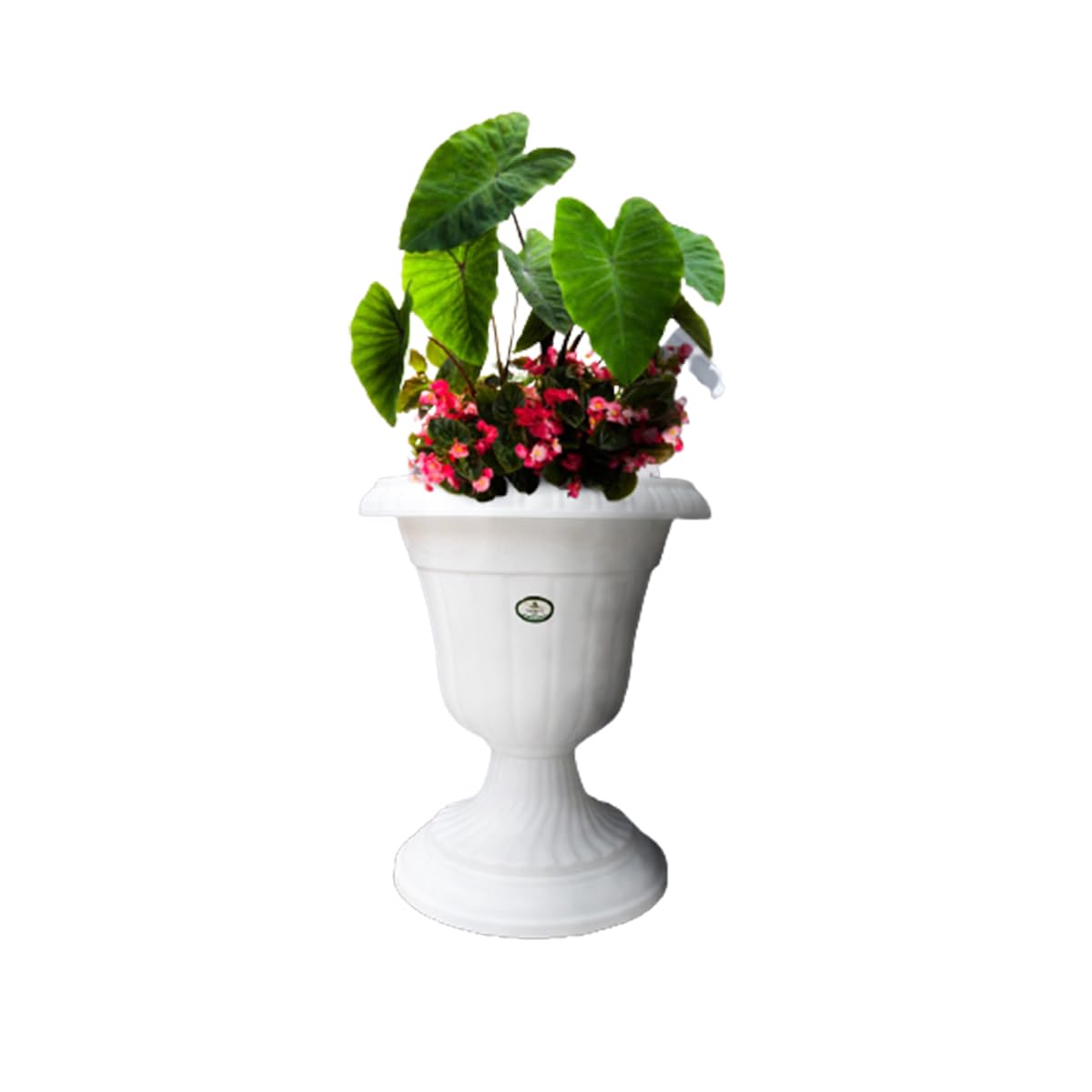 See full amazon price history chart for Amazon Brand - Umi Decorative Design Round Shape 12 Inch(30.48cm) Cool Finishing Big Tulip Plastic Flower Pot for Home/Office/Table/Gift Purpose - Set of 1 (White) Amazon Brand - Umi Decorative Design Round Shape 12 Inch(30.48cm) Cool Finishing Big Tulip Plastic Flower Pot for Home/Office/Table/Gift Purpose - Set of 1 (White) (B0C8P2TDJ9) Amazon Price History, Amazon Price Tracker