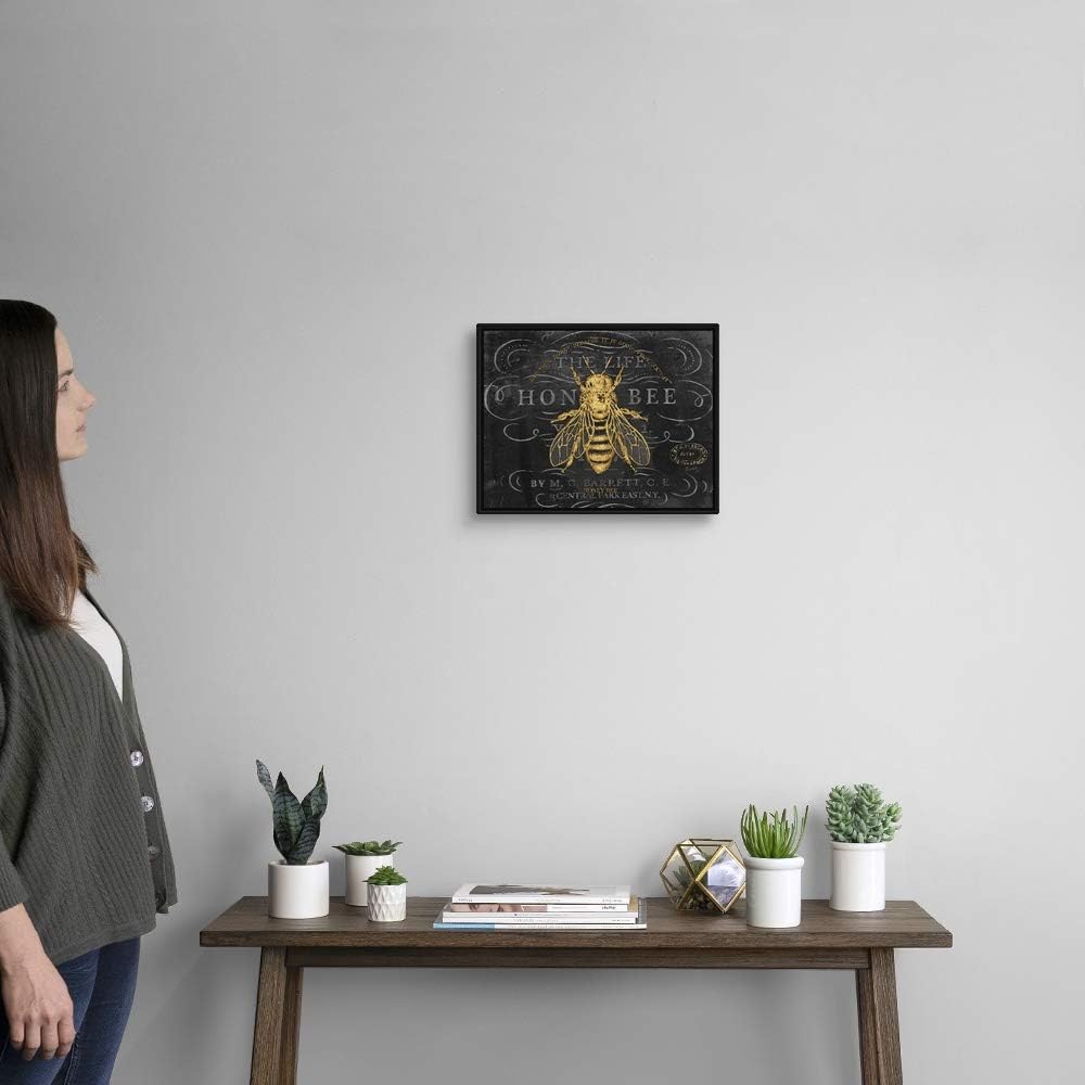 Honey Bee Black Float Frame Canvas Art, Honey Artwork