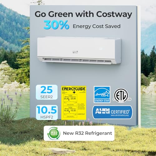 COSTWAY Mini Split in Living Room