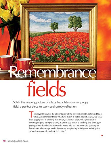 Ultimate Cross Stitch Projects: Colorful And Inspiring Designs From Maria Diaz (Design Originals) Sourcebook Of Patterns With Detailed Step-By-Step Instructions And Clear, Easy-To-Follow Color Charts #TOP4