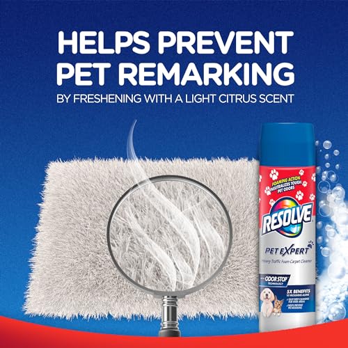 Resolve Pet Expert High Traffic Foam, Pet Stain and Odor Remover, Carpet Cleaner, 22 Fl Oz, 5 cans