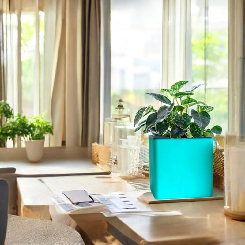 Image of Indian Discovery Self Watering Tabletop Planter| Flower Pots for Home, Terrace, Balcony, Vertical Garden Decor Flower Pots(1 PC, Peacock Green, Square) |6 Inch UV-Resistant Plastic Plant Pots