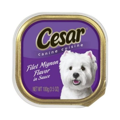 Cesar Classic Loaf in Sauce Wet Dog Food, Filet Mignon, 3.5 oz, 24 Count - image 4