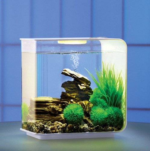 Oase 45915 Acquario Classe energetica: LED 15 l con illuminazione a LED
