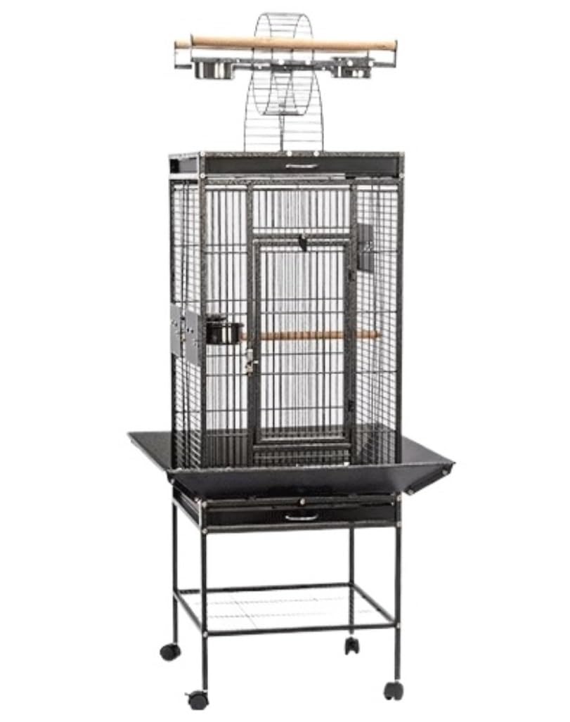 Amazon.com : Birdcage Large Wrought Iron Bird Cage with Play